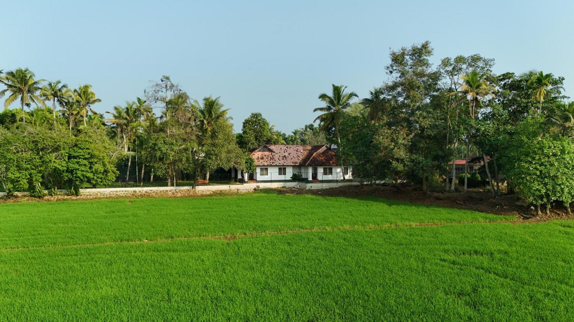 Paadam By The Backwaters Kumarakom Eksteriør billede